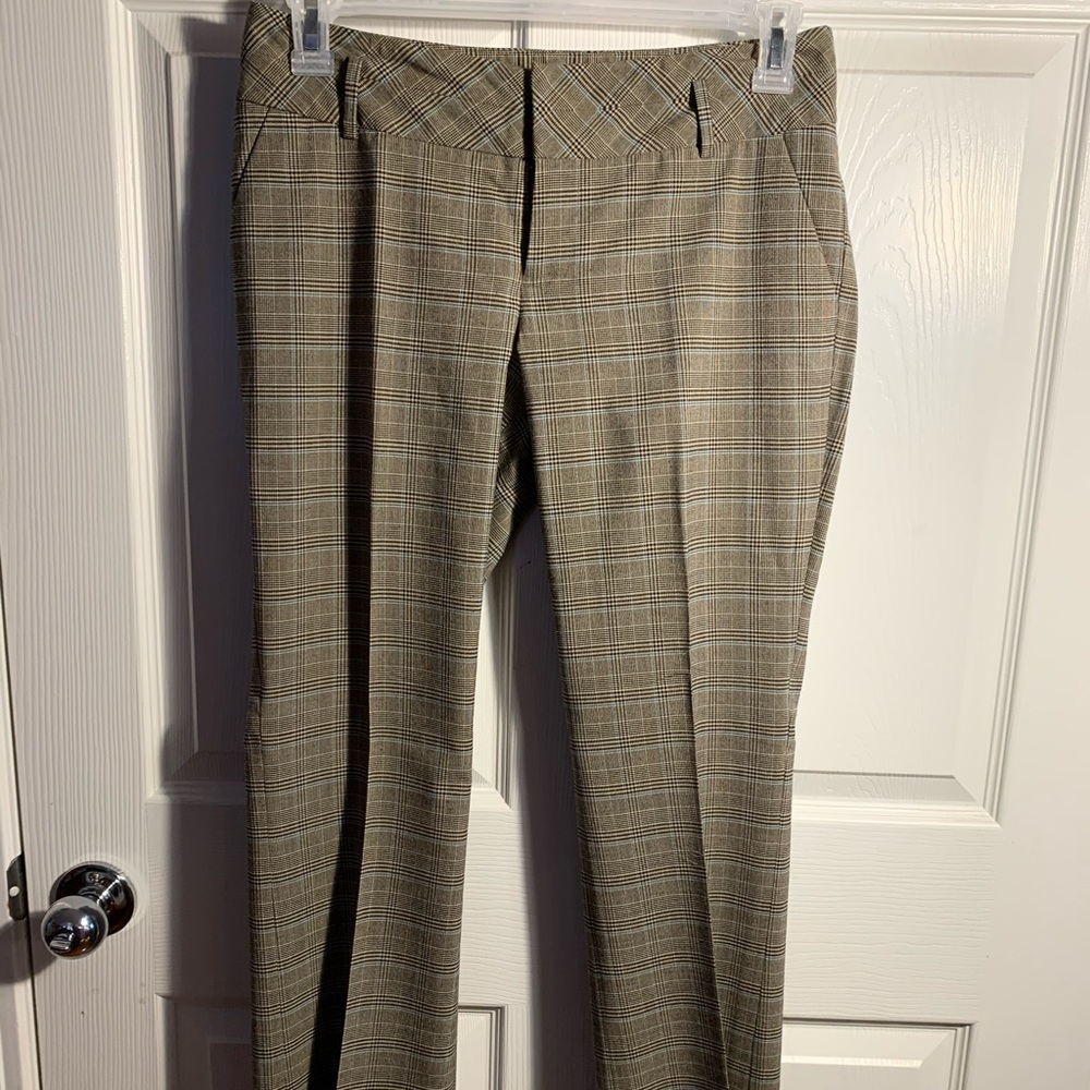Dress Pants